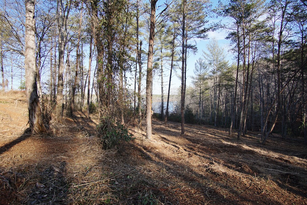 Waterside at Lake Rhodhiss, NC Prices and Site Plan